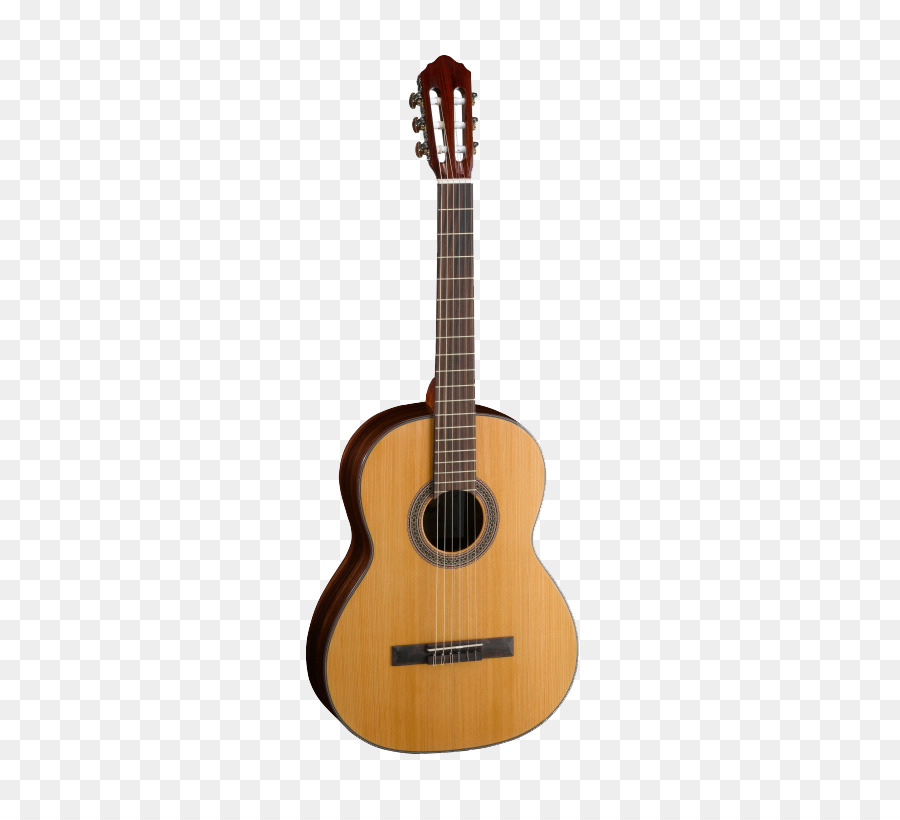 Gitar，Dizeler PNG