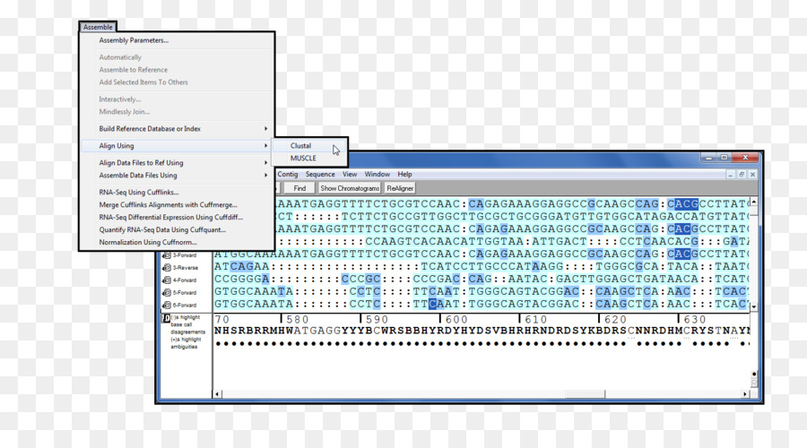 Bilgisayar Programı，Kağıt PNG