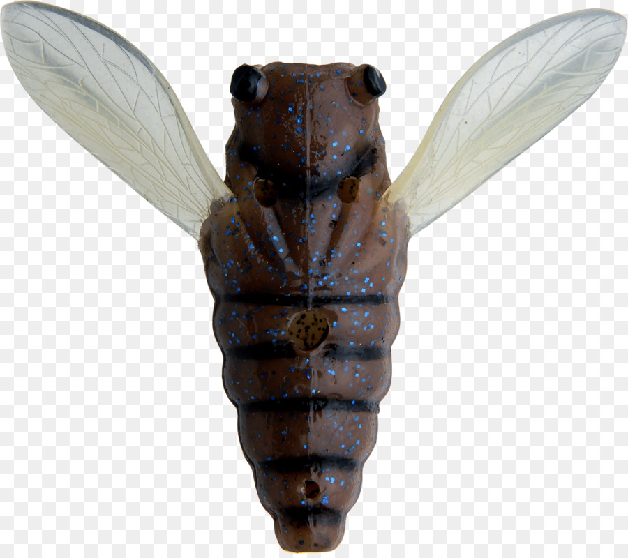 Böcek，Omurgasız PNG