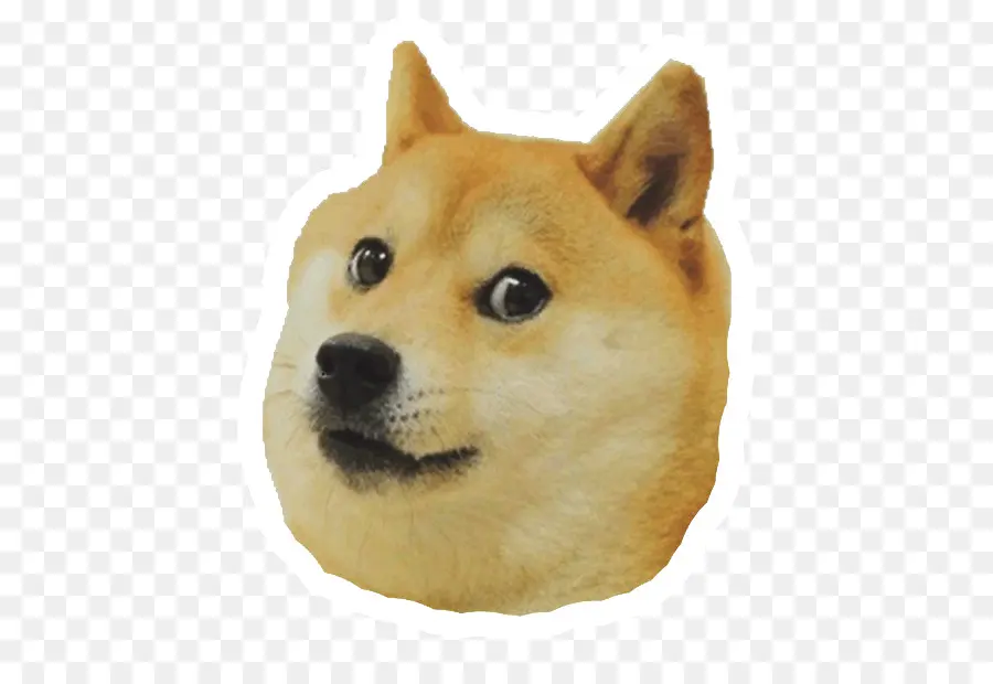 Shiba Inu Köpek Suratı，Köpek PNG