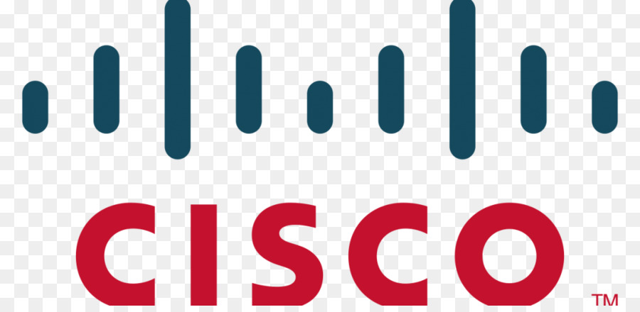 Cisco Systems，Organizasyon PNG