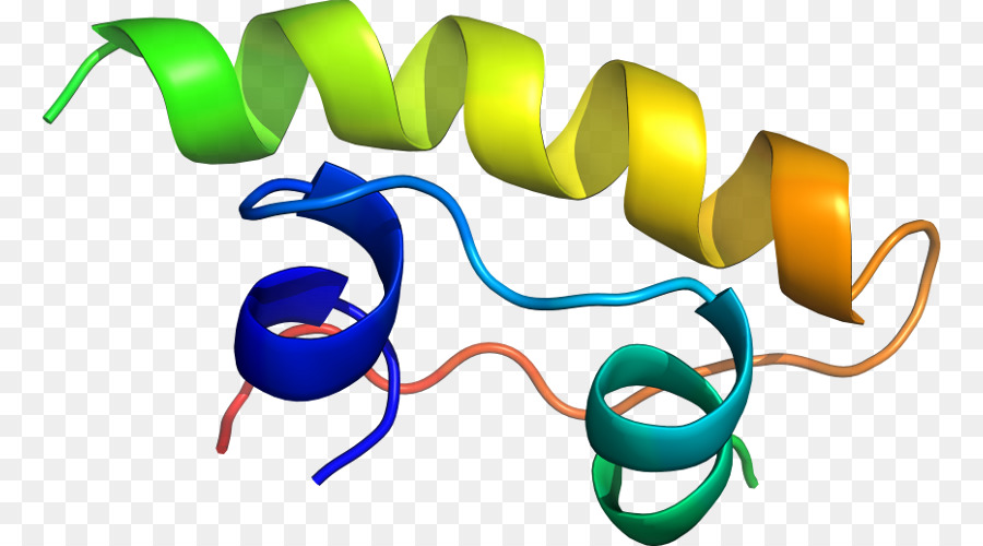 Protein Sarmalı，Molekül PNG