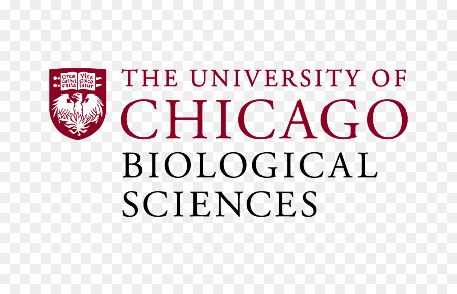 Chicago Üniversitesi，Chicago Üniversitesi Laboratuvar Okulları PNG