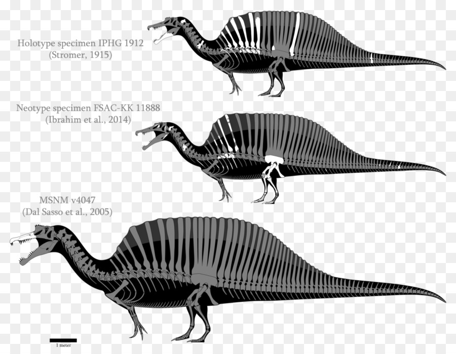 Dinozor İskeleti，Tarih öncesi PNG