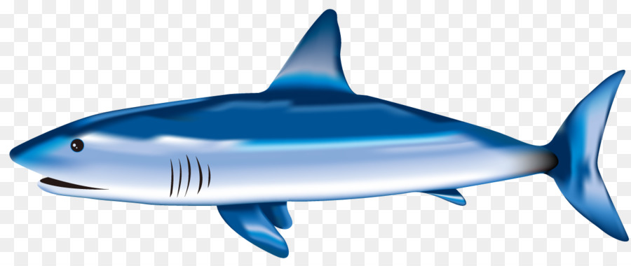 Kaplan Köpekbalığı，Büyük Beyaz Köpekbalığı PNG