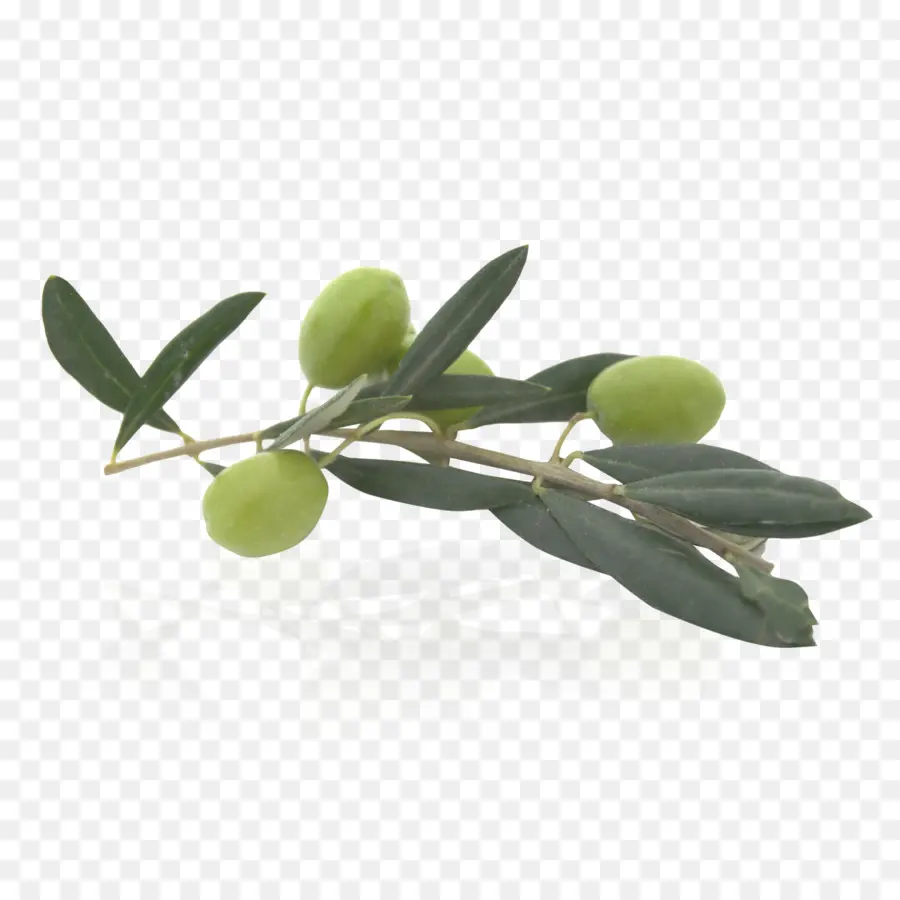 Zeytin，Dal PNG