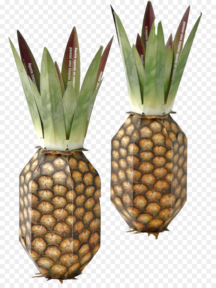 Ananas，Corgraf PNG