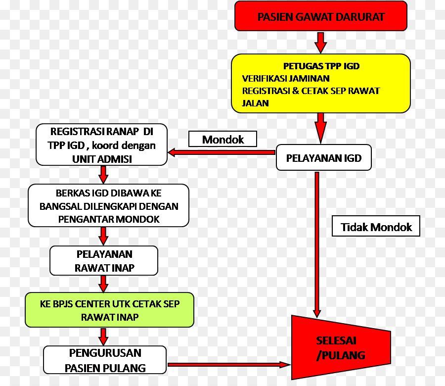 Merkez Hastanesi Dr Sardjito，Hastane PNG