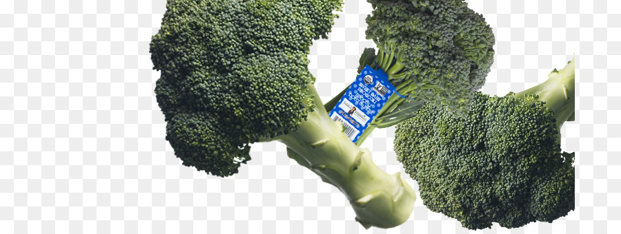 Brokoli，Salata PNG