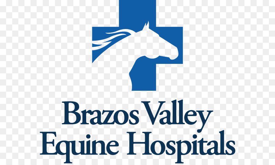 At，Brazos Valley Equine Hastanesi PNG
