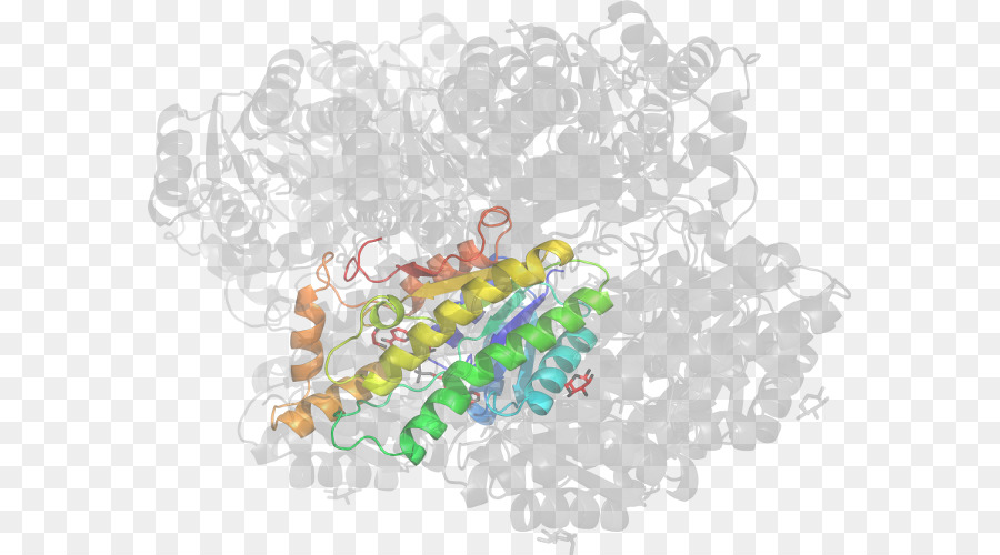 Protein Yapısı，Molekül PNG