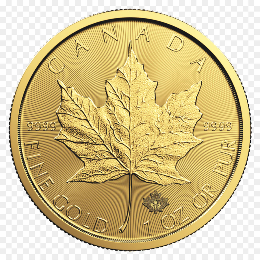 Kanada Altın Maple Leaf，Kanada Gümüş Maple Leaf PNG