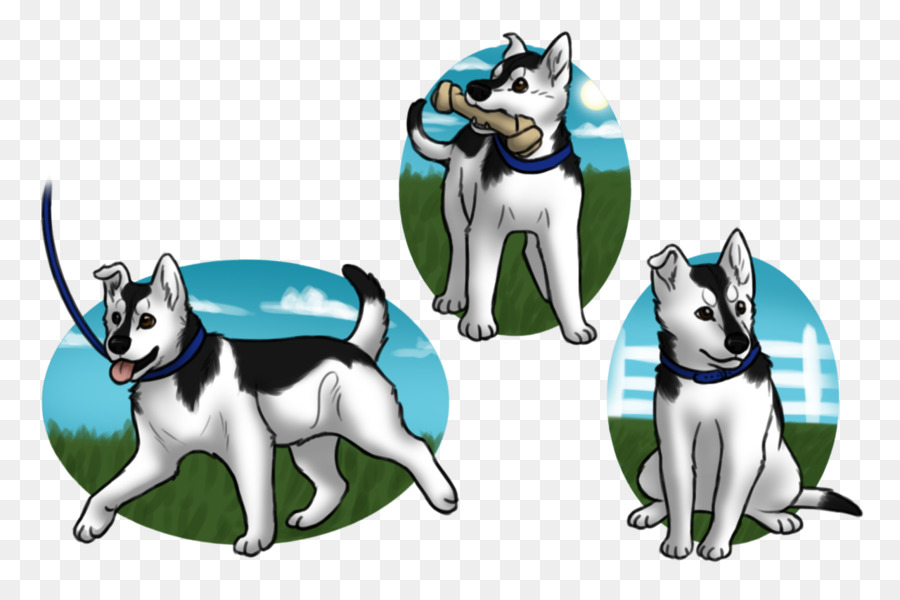 Sibirya Husky，Sakhalin Husky PNG