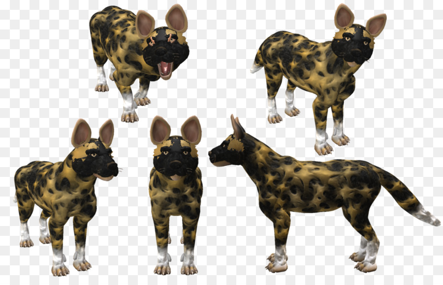 Köpek ırkı，Köpek PNG