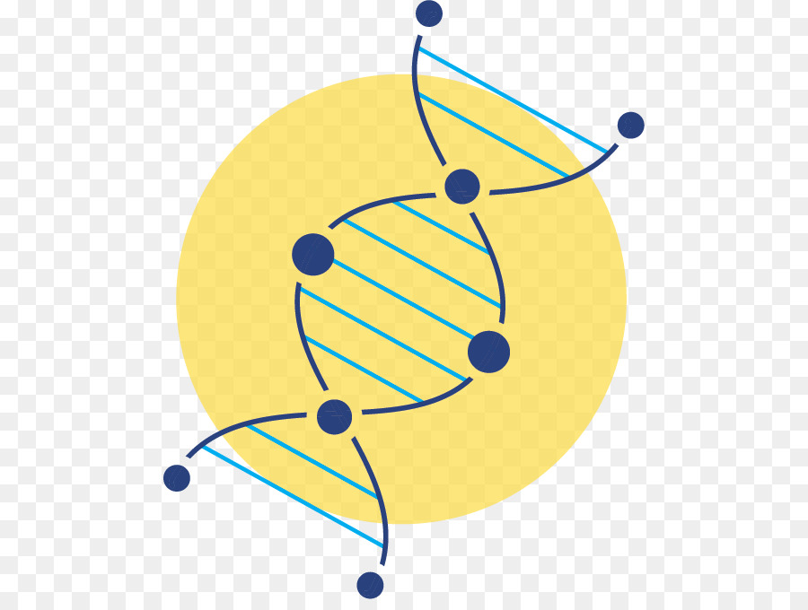 Dna，Genetik PNG