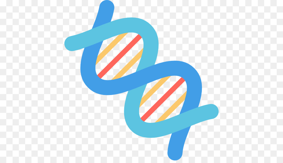 Dna İpliği，Genetik PNG