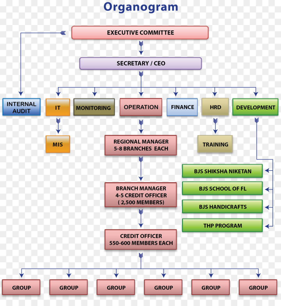 Organizasyon şeması，Organizasyon PNG
