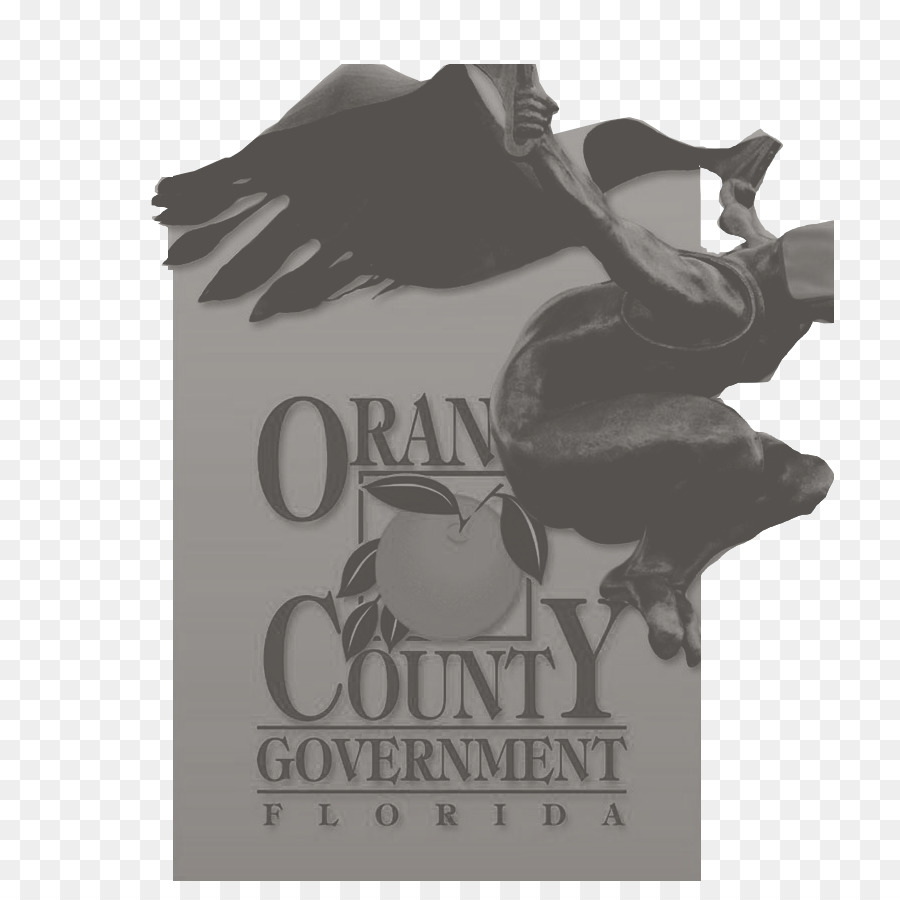 Osceola County Florida，Güney Turuncu Küçük Lig PNG