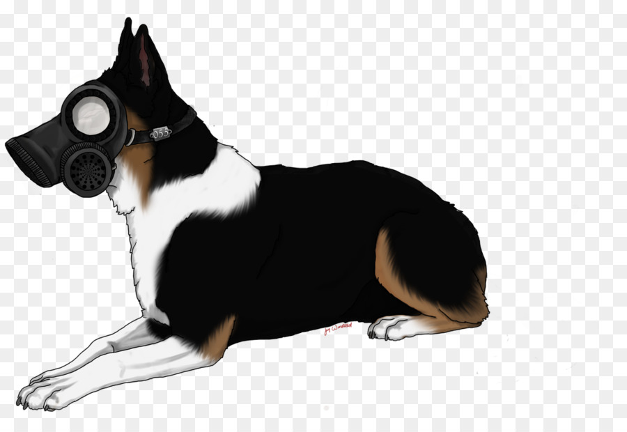 Köpek ırkı，Köpek PNG