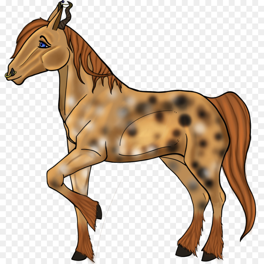 Zebra Atı，Zebra PNG