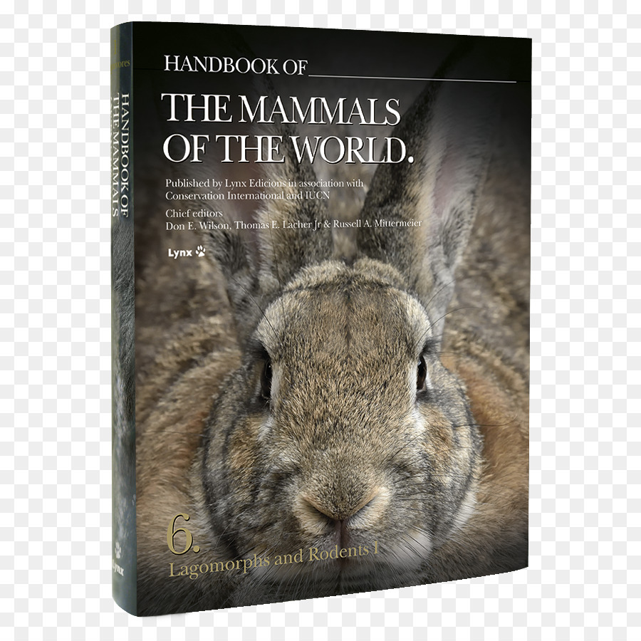 Yerli Tavşan，Dünya Lagomorphs Memeliler El Kitabı Ve Kemirgenler Ben PNG