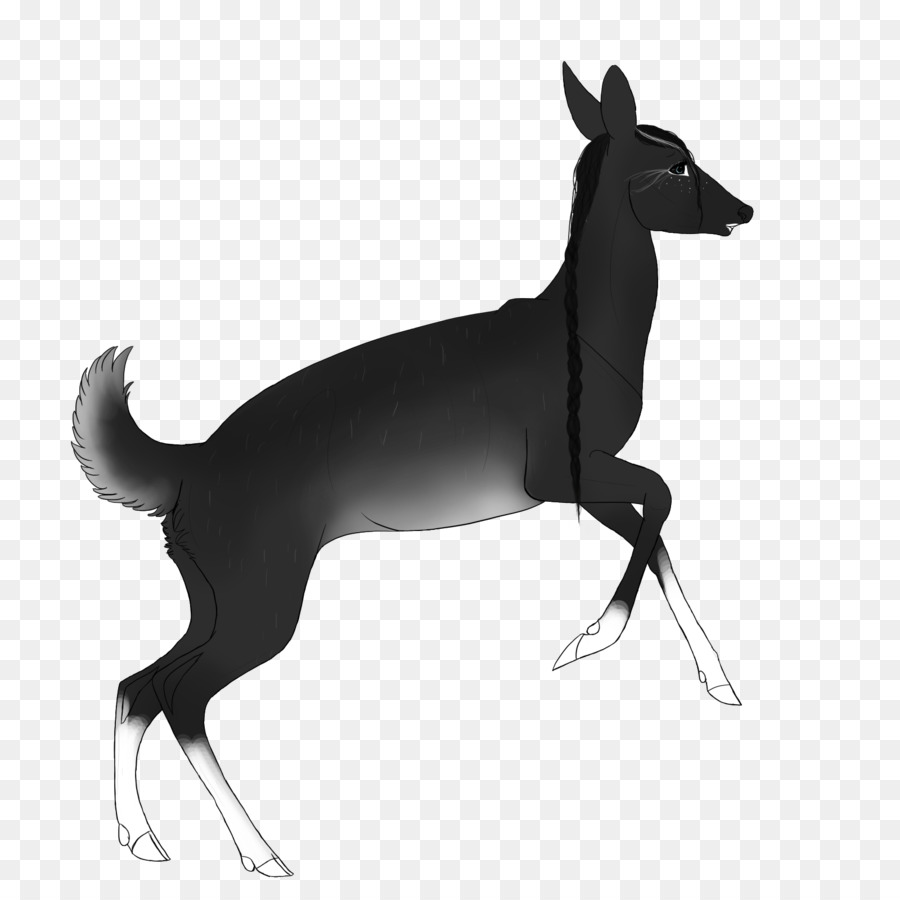 İtalyan Greyhound，Köpek ırkı PNG