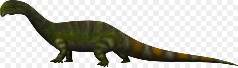 Atopodentatus，Tyrannosaurus PNG
