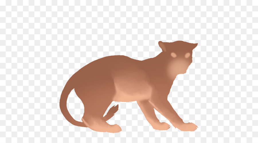 Kedi，Evcil Hayvan PNG