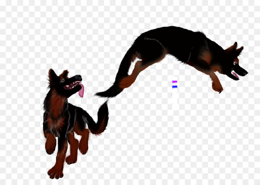 Köpek Yavrusu，Köpek ırkı PNG