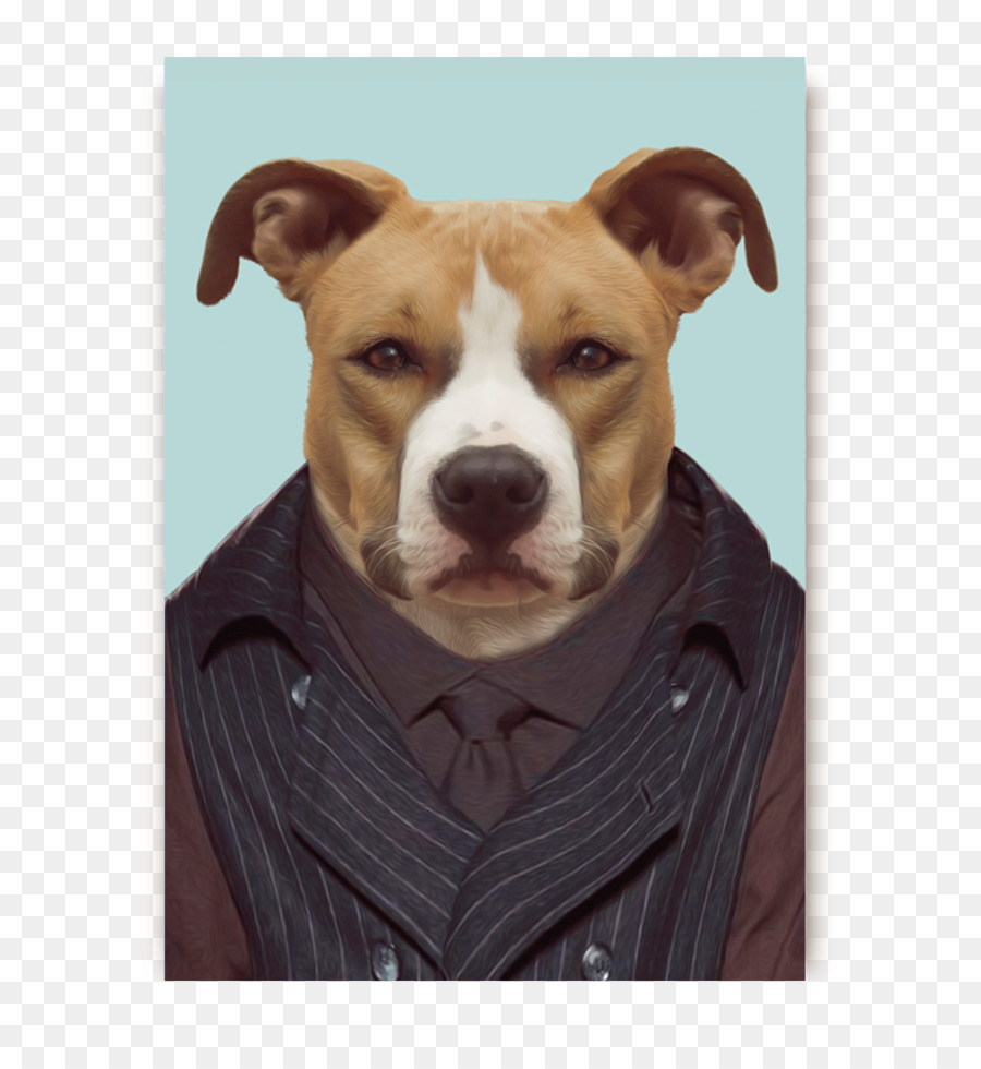 Köpek，Evcil Hayvan PNG