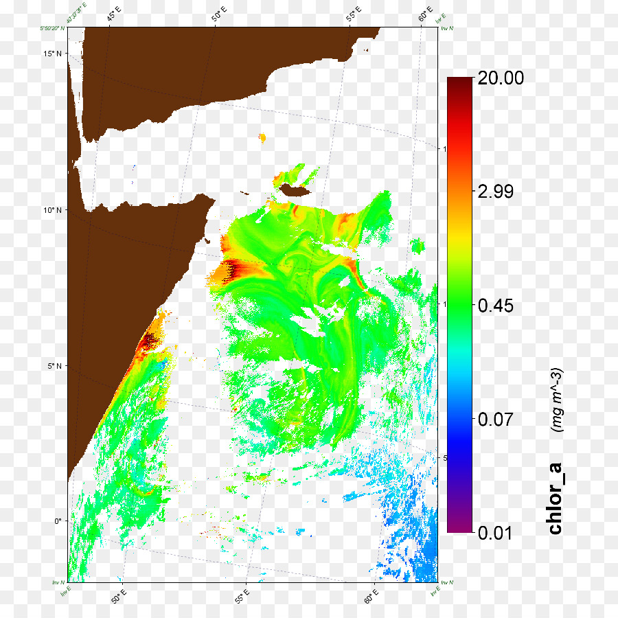 Grafik Tasarım，Ağaç PNG