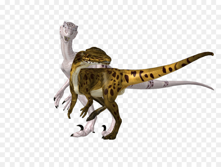 Velociraptor，Sanat PNG