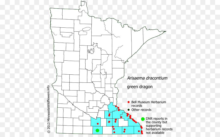 Ramsey County Minnesota，Beyaz Dünya PNG