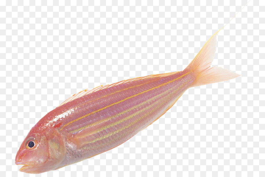 Milkfish，Balık çorbası PNG