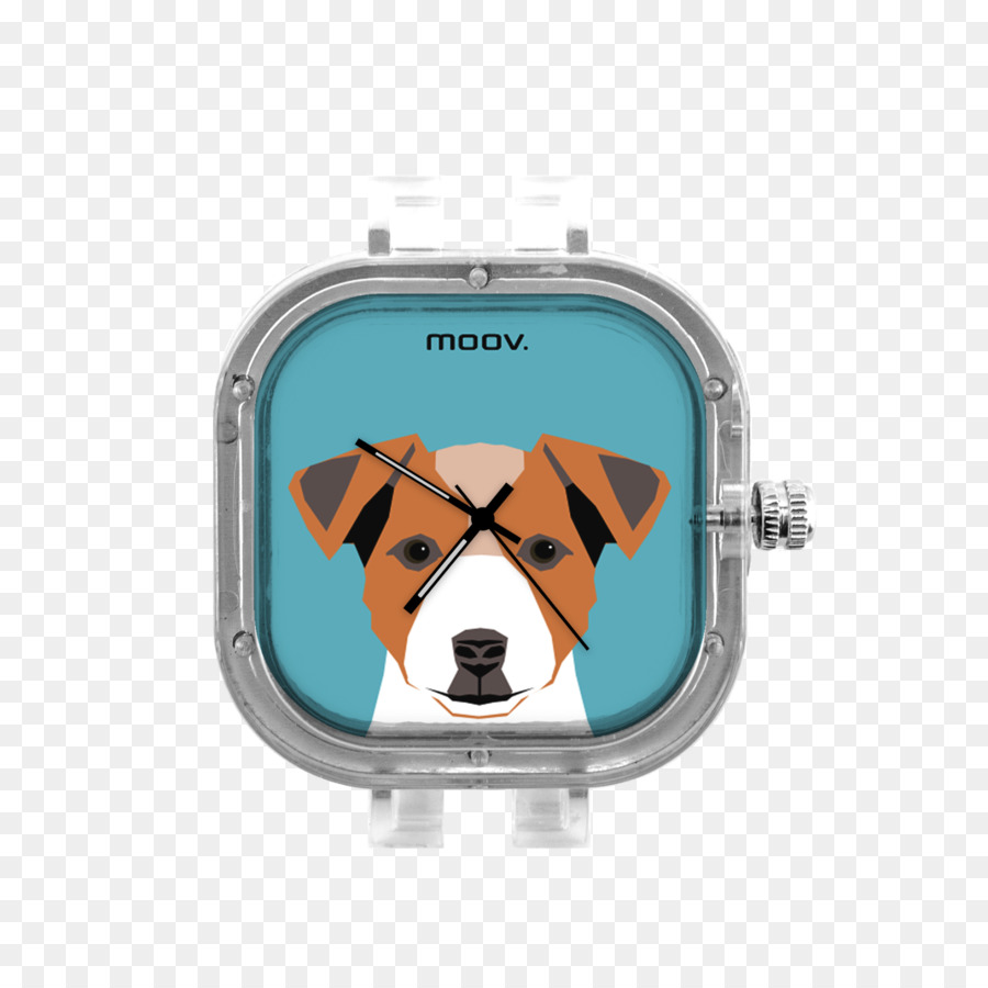 Moovwatches，İzle PNG