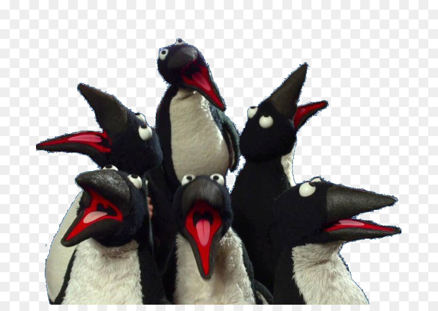 Penguenler，Grup PNG