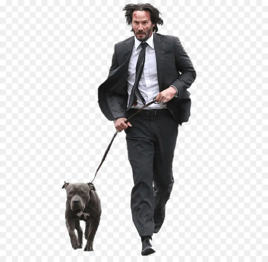 Köpekli Takım Elbiseli Adam，Uygun Olmak PNG