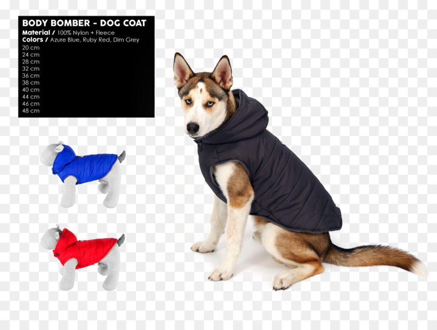 Köpek ırkı，Sibirya Husky PNG