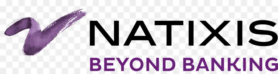 Natixis Logo，Bankacılık PNG