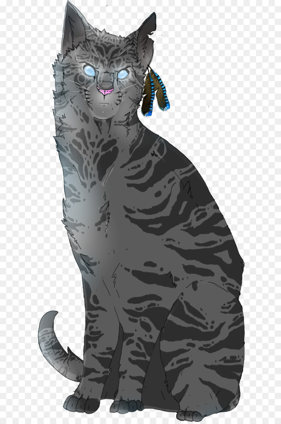 Kedi，Tekir Kedi PNG