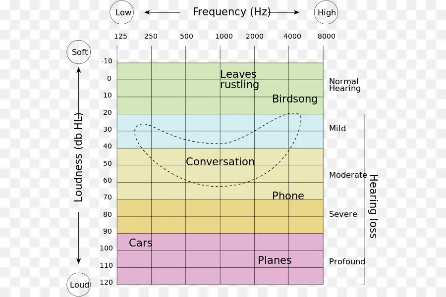 İşitme Kaybı Tablosu，Sıklık PNG