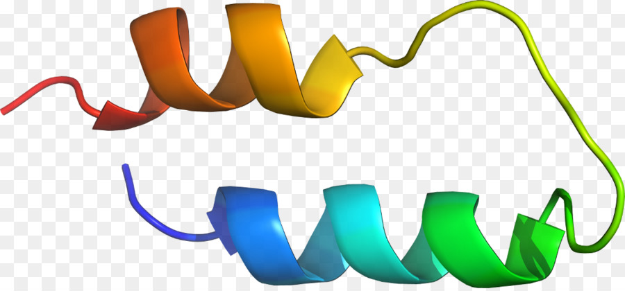 Protein Sarmalı，Molekül PNG