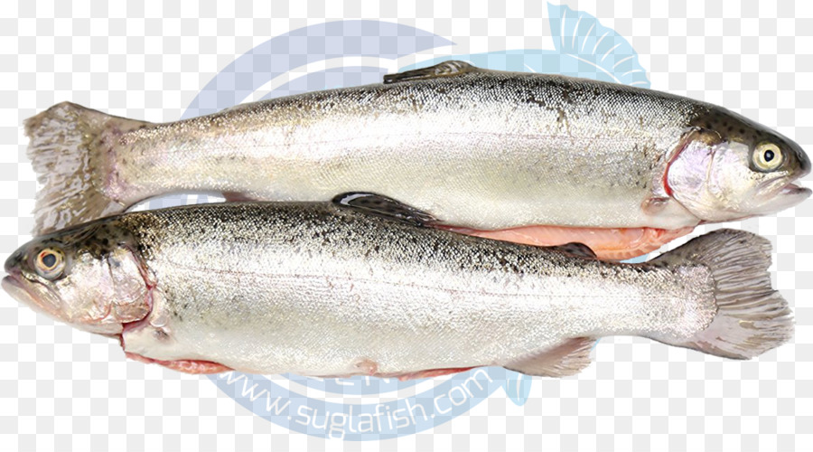 Sardalya，Balık ürünleri PNG