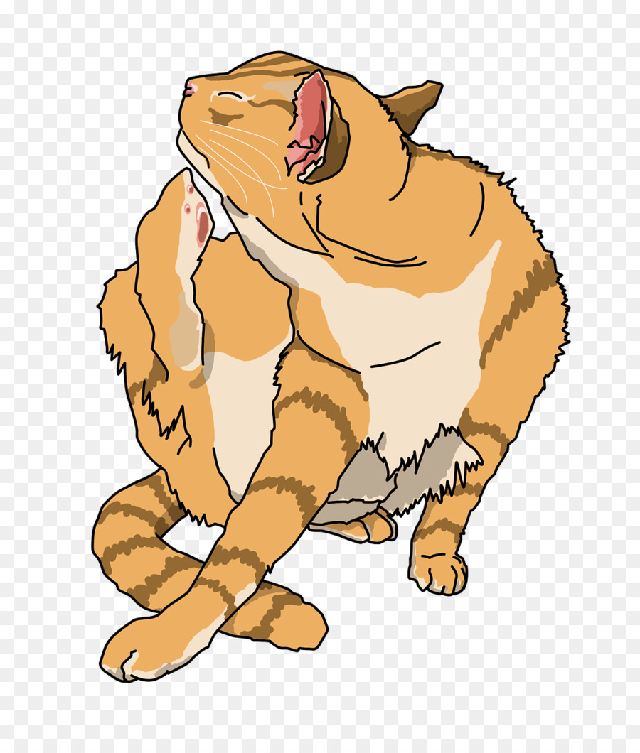 Kedi，Kaplan PNG