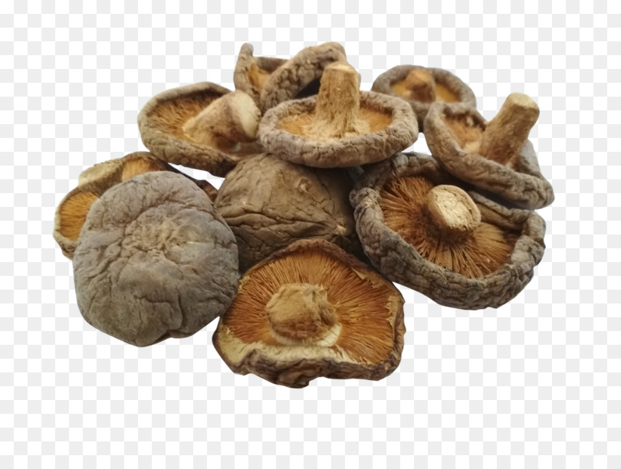 Shiitake，Çin Mutfağı PNG