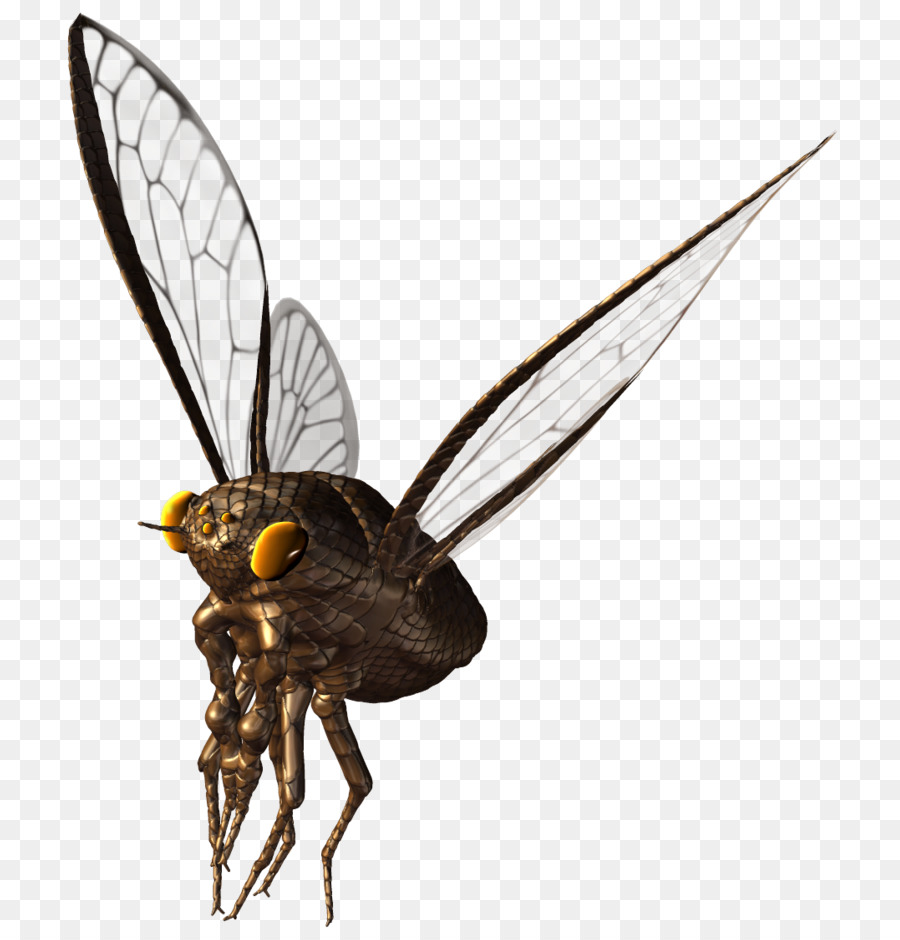 Arı，Gerçek Böcekler PNG