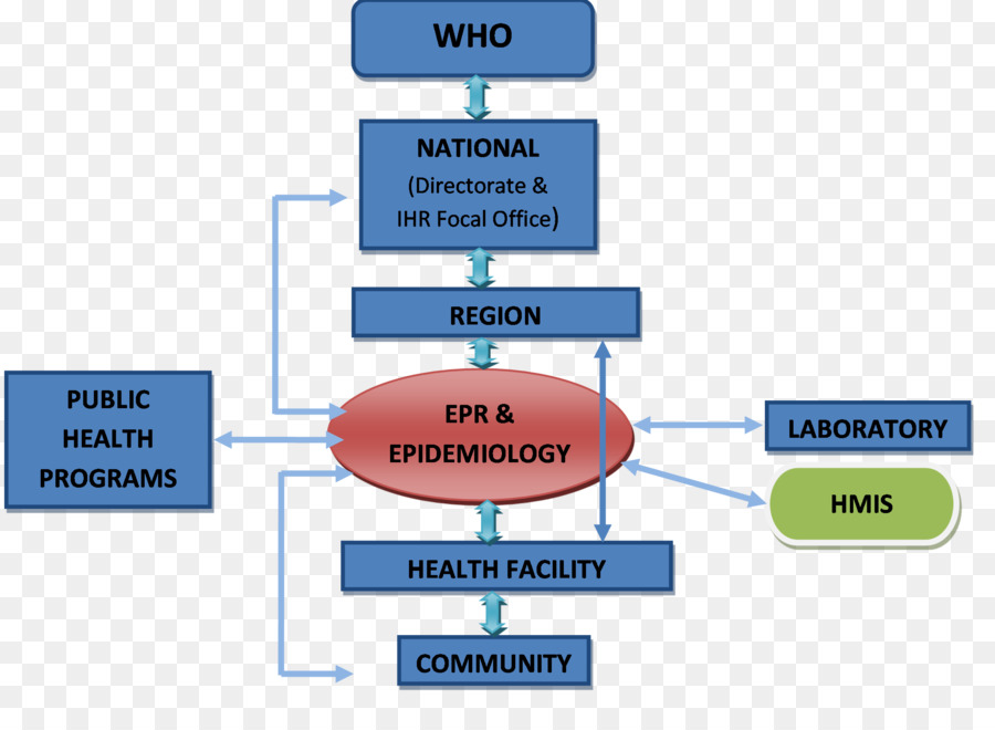 Epidemiyoloji Akış Şeması，Halk Sağlığı PNG