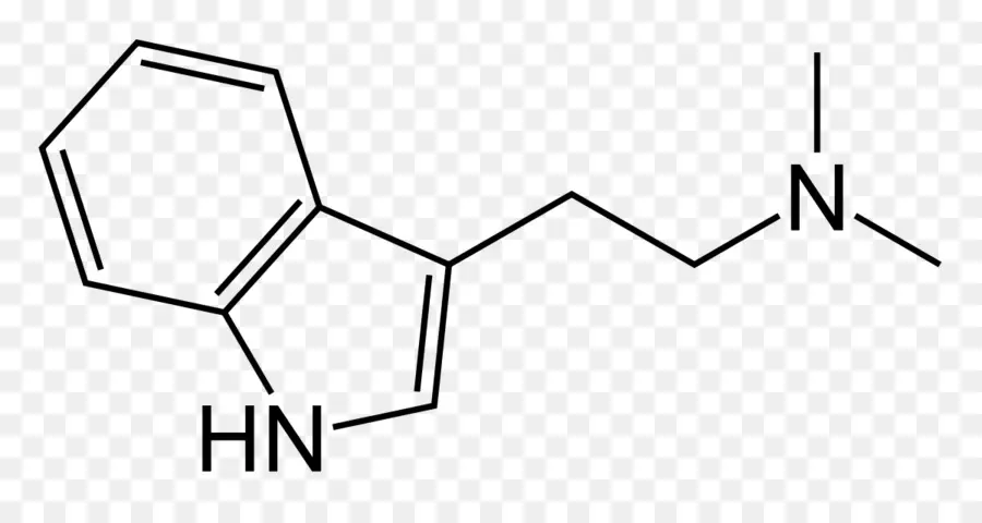 Nndimethyltryptamine，5meodmt PNG