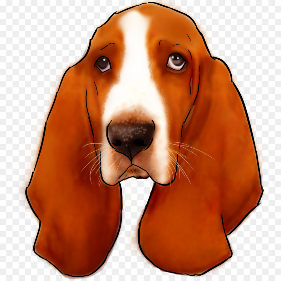 Köpek，Evcil Hayvan PNG