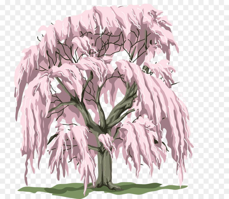 Kiraz çiçeği，Ağaç PNG